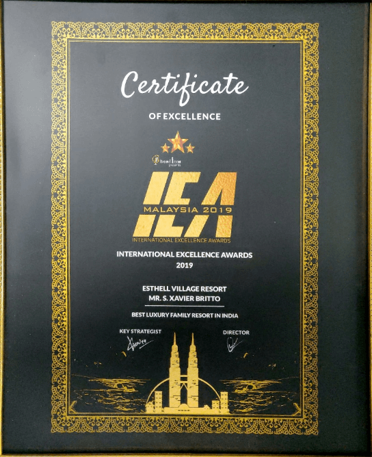 International Excellence Award 2019